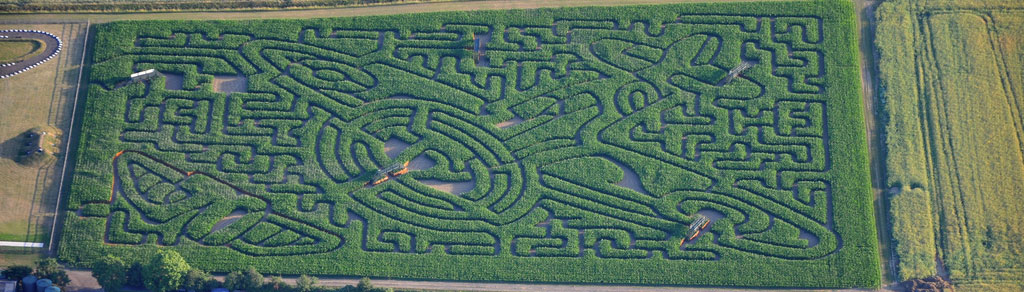 Amazing Spitfire maze is made out of maize!