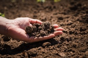It all starts with soil