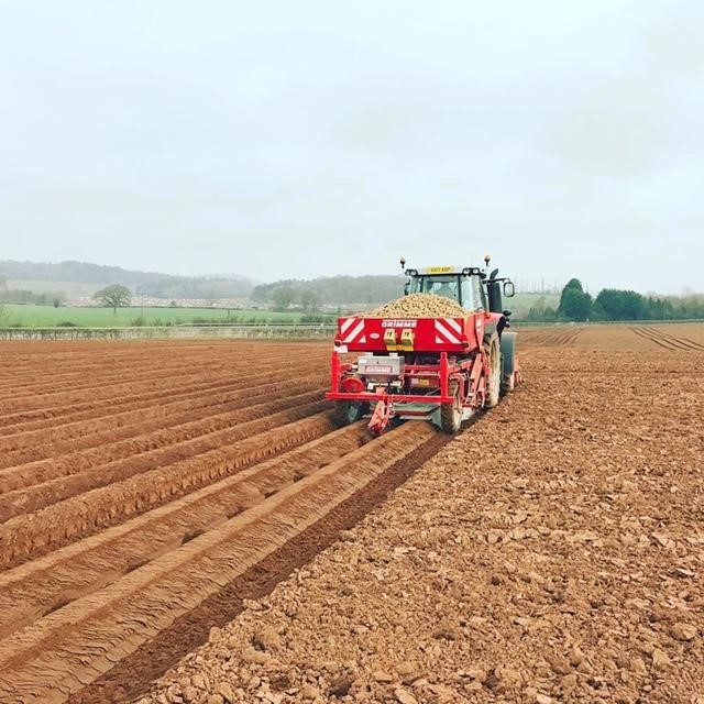 Tractor ploughing on the farms